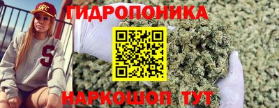 эйфоретик Аргун