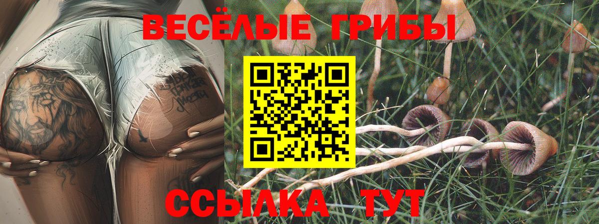 где купить наркоту  Псилоцибиновые грибы MAGIC MUSHROOMS  Вход с VPN  Балашиха 
