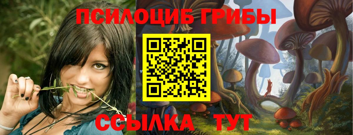 Галлюциногенные грибы Psilocybine cubensis  Галлюциногенные грибы Magic Shrooms  Балашиха 