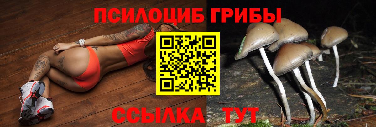 Галлюциногенные грибы мухоморы Балашиха